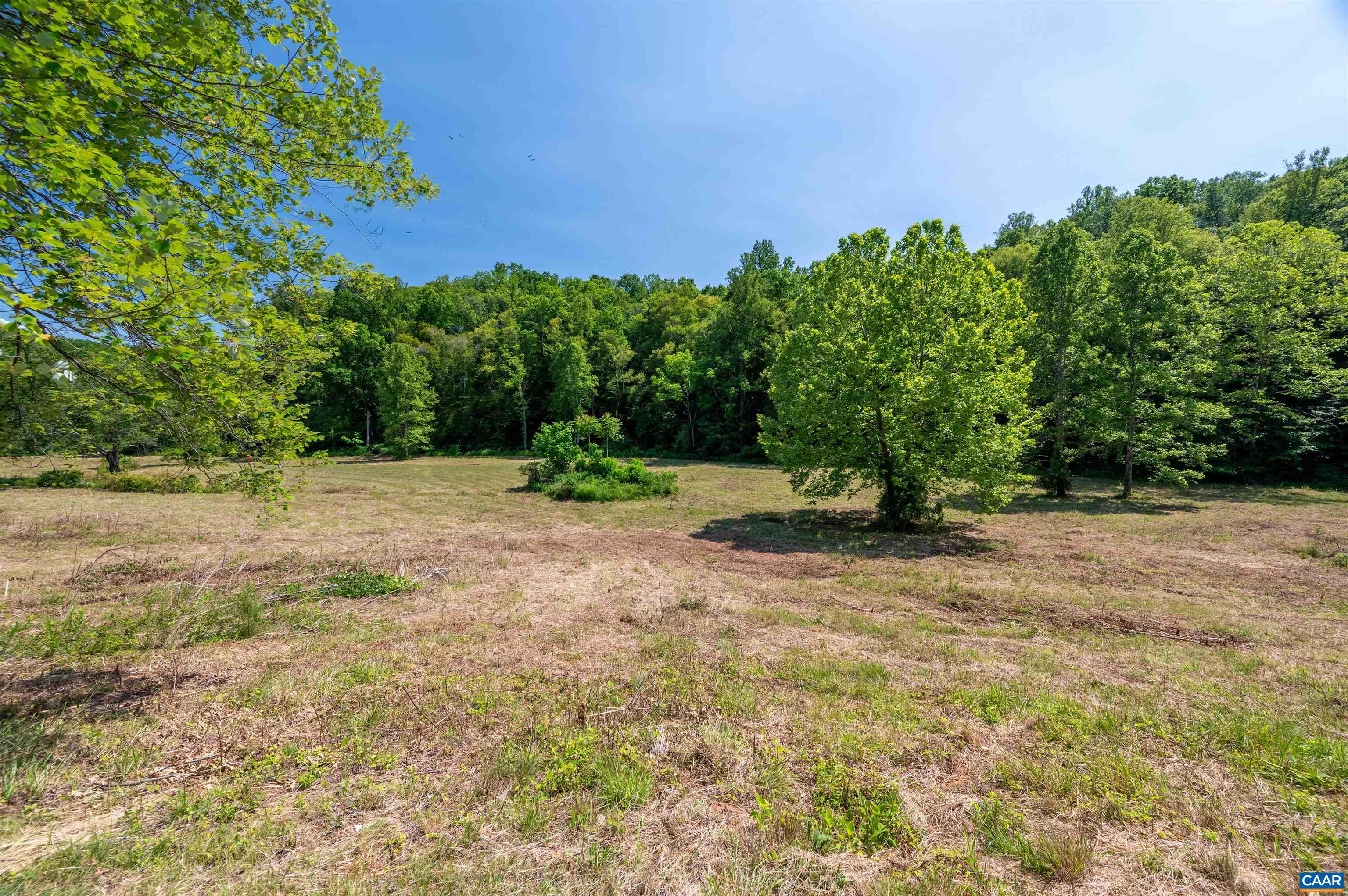 1467 Harris Creek Road Charlottesville, VA 22902 - Photo 37 of 41
