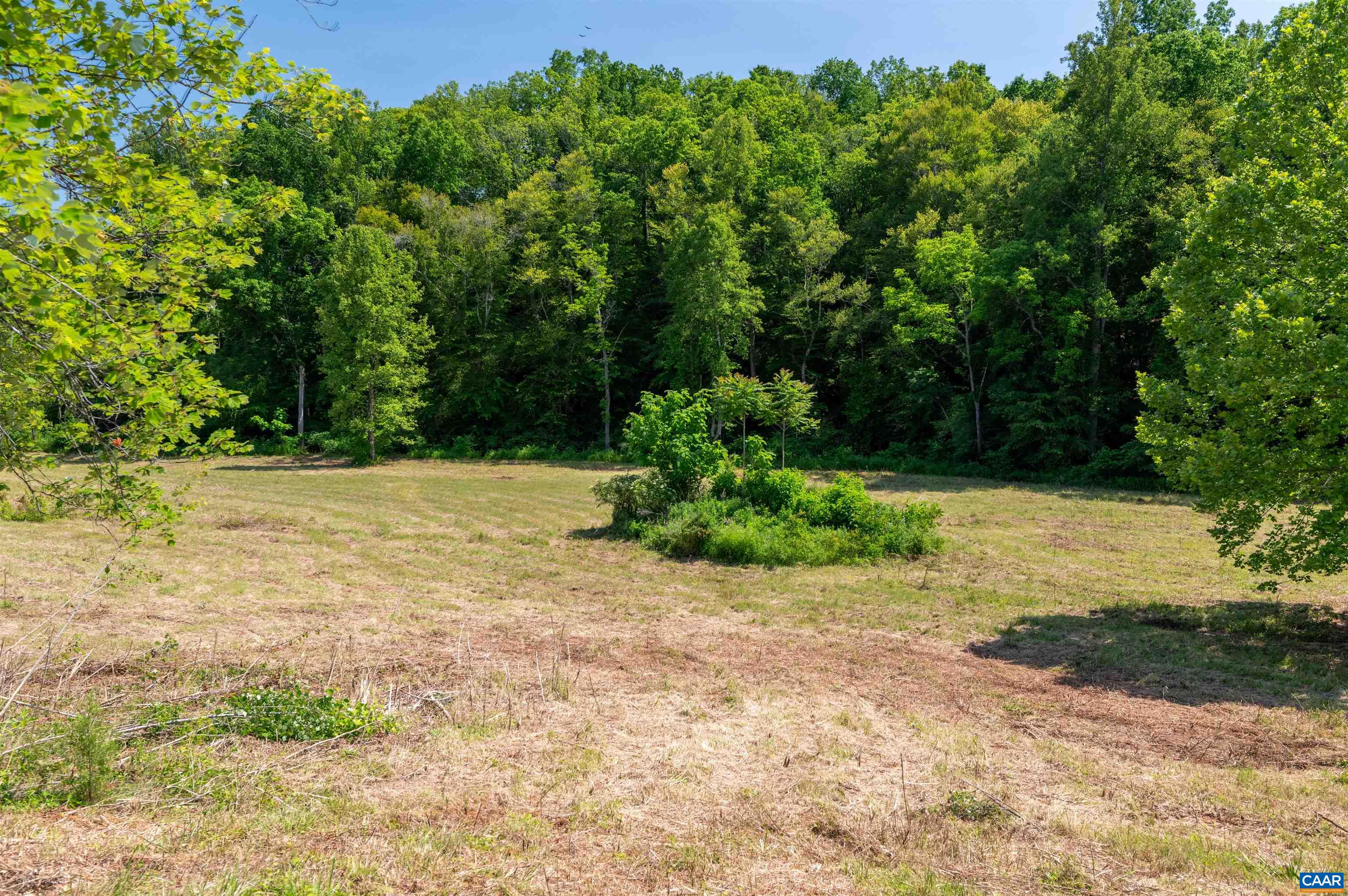 1467 Harris Creek Road Charlottesville, VA 22902 - Photo 40 of 41