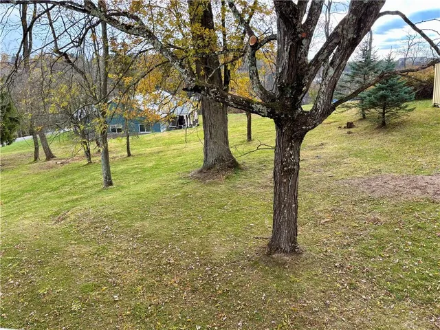 a view of yard with tree
