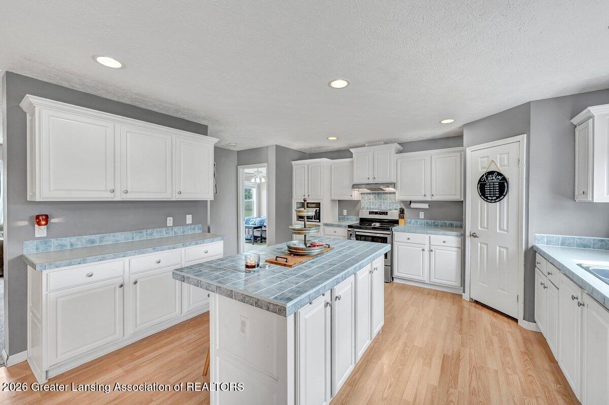 11791 Roggy Road Sumner, MI 48889 - Photo 11 of 53 DSC00526 (2)