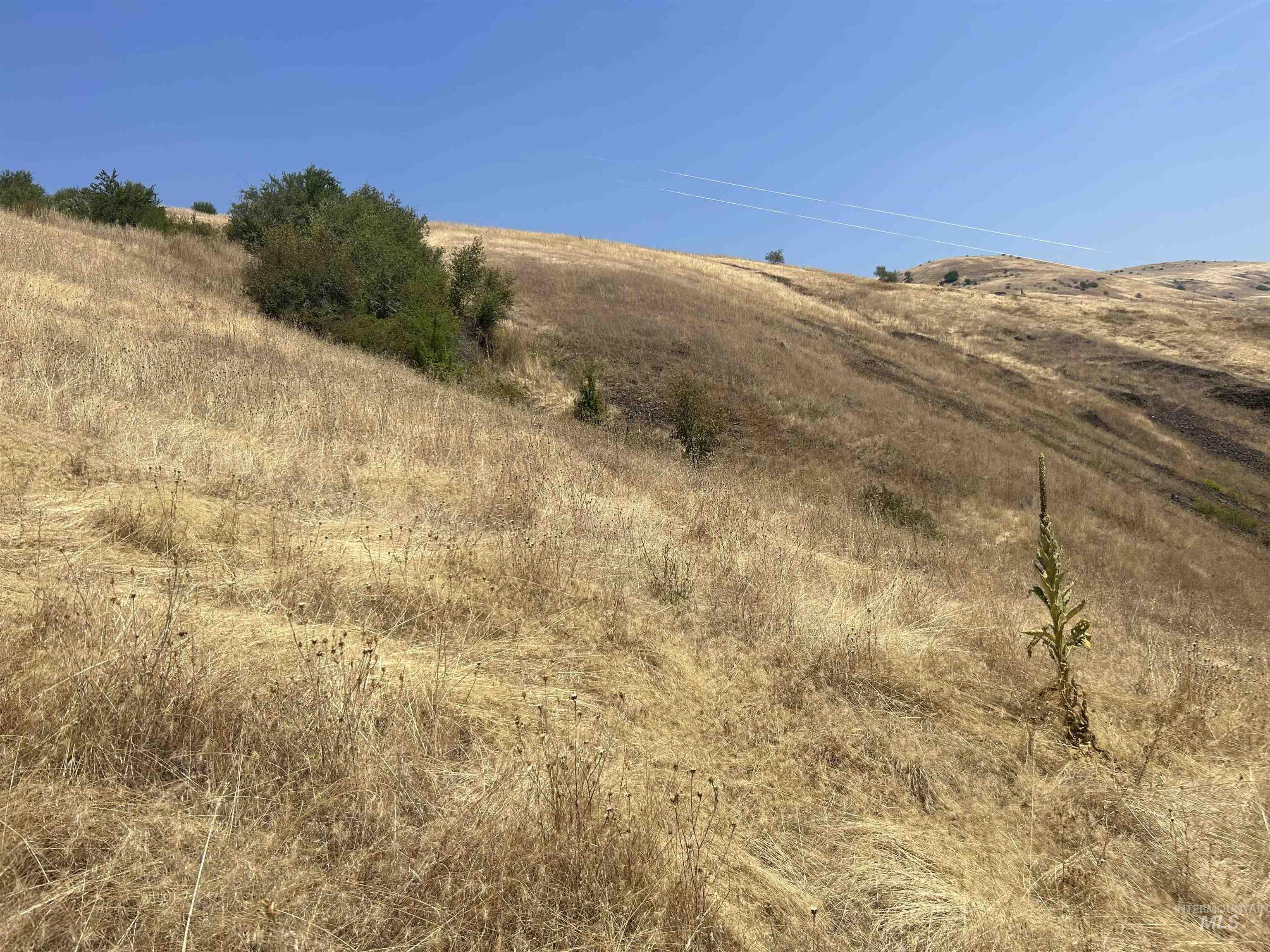 1068 Clearcreek Road Kooskia, ID 83539 - Photo 20 of 32