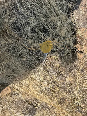 $139,900 | 1068 Clearcreek Road, Kooskia, ID 83539