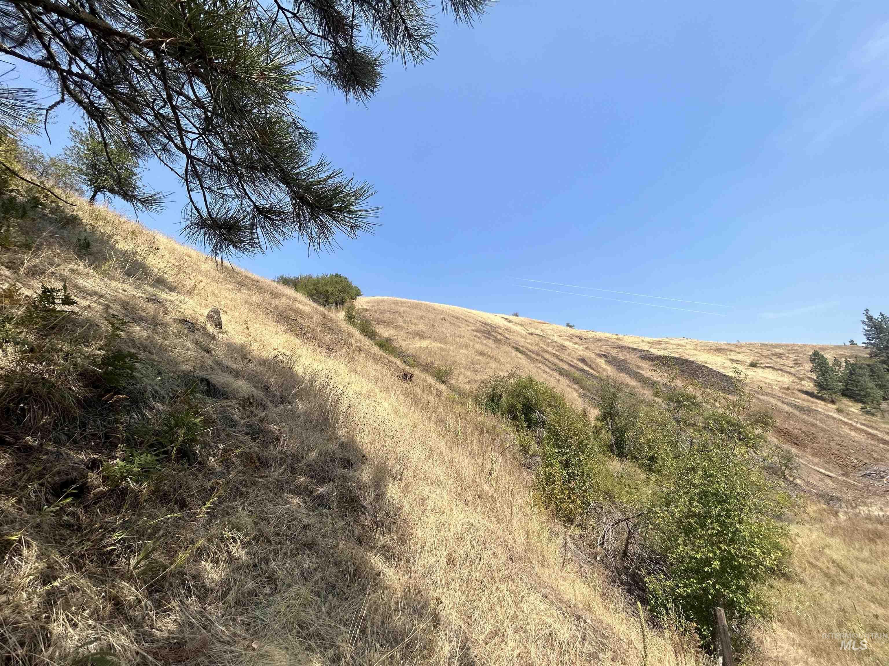 1068 Clearcreek Road Kooskia, ID 83539 - Photo 31 of 32