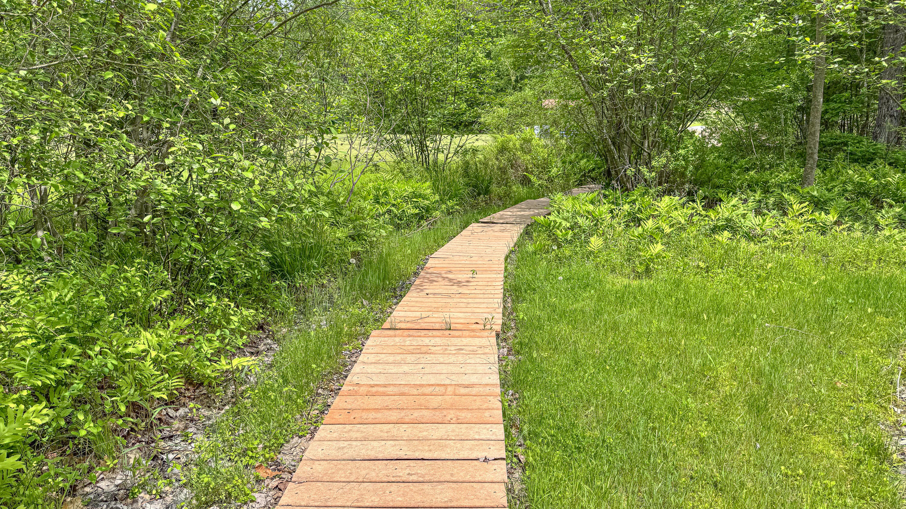 116 Salmon Point Road Sebago, ME 04029 - Photo 52 of 58 116 Salmon Point-66