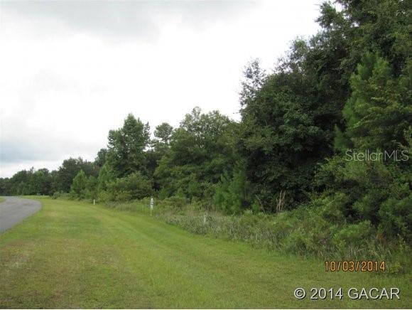 10 Northwest County Road Williston, FL 32696 - Photo 1 of 1 a view of a grassy area with an trees