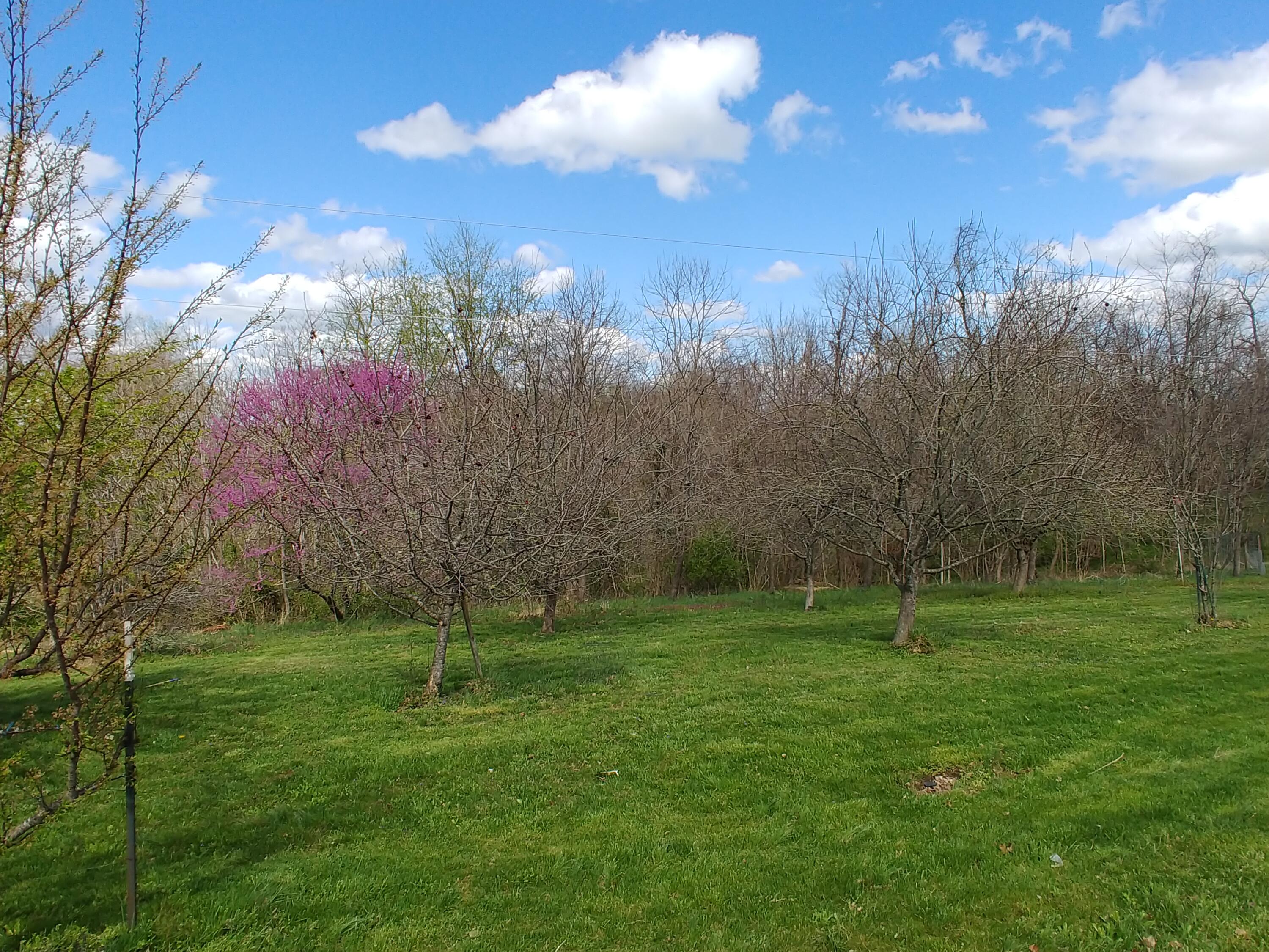 1031 Tom Hackley Road Danville, KY 40422 - Photo 28 of 28 photo28