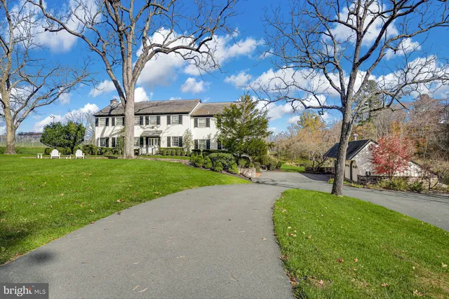 a view of a big yard with palm trees