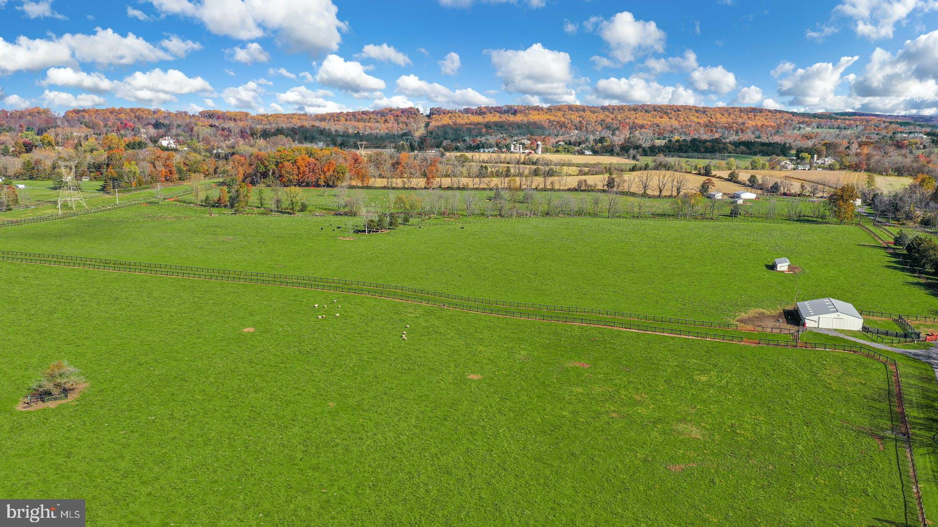 1315 Pineville Road New Hope, PA 18938 - Photo 54 of 58 a view of a green field with clear sky