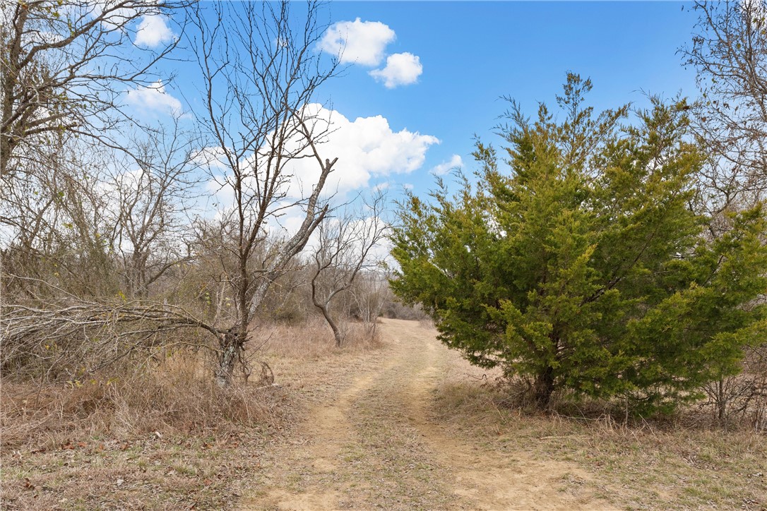 105 Cr 4025 Road Lott, TX 76656 - Photo 34 of 40