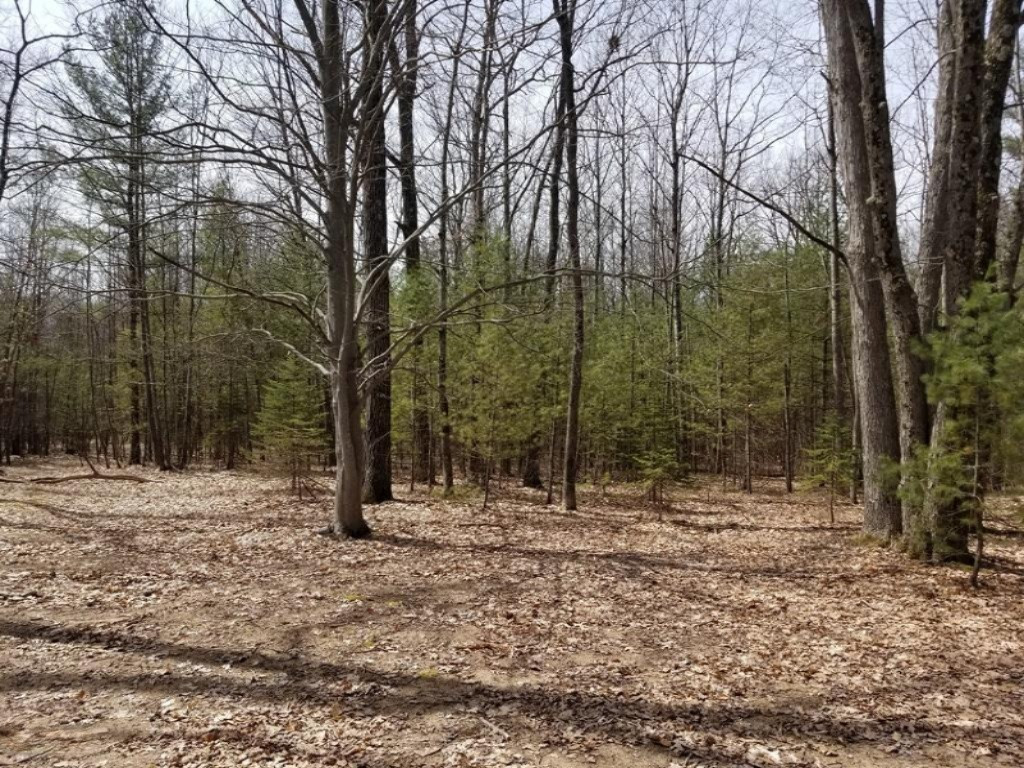 2839 South Tyndall Road Branch, MI 49402 - Photo 11 of 23 20180426_144213