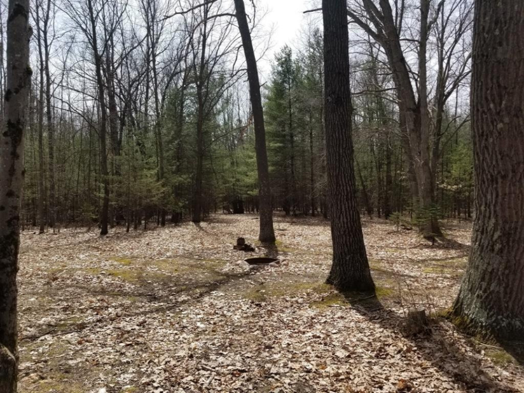 2839 South Tyndall Road Branch, MI 49402 - Photo 12 of 23 20180426_144225