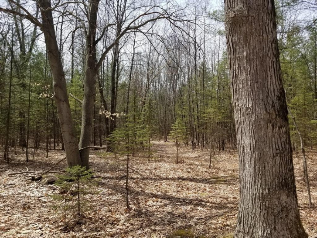 2839 South Tyndall Road Branch, MI 49402 - Photo 13 of 23 20180426_144246