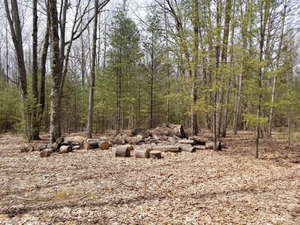 2839 South Tyndall Road Branch, MI 49402 - Photo 10 of 23 20180426_144202