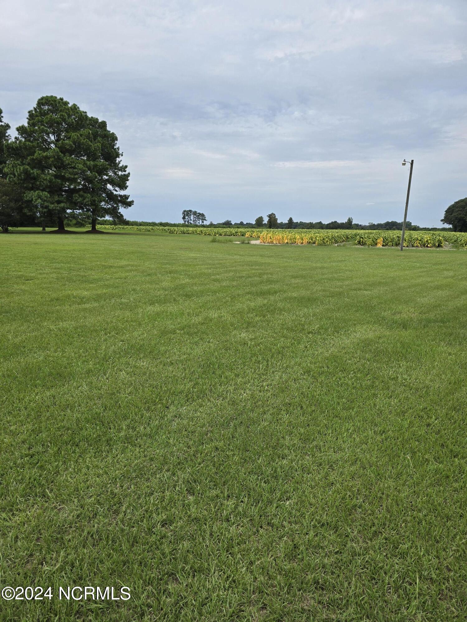 129 Joe Branch Road Mount Olive, NC 28365 - Photo 3 of 3 20240813_143103