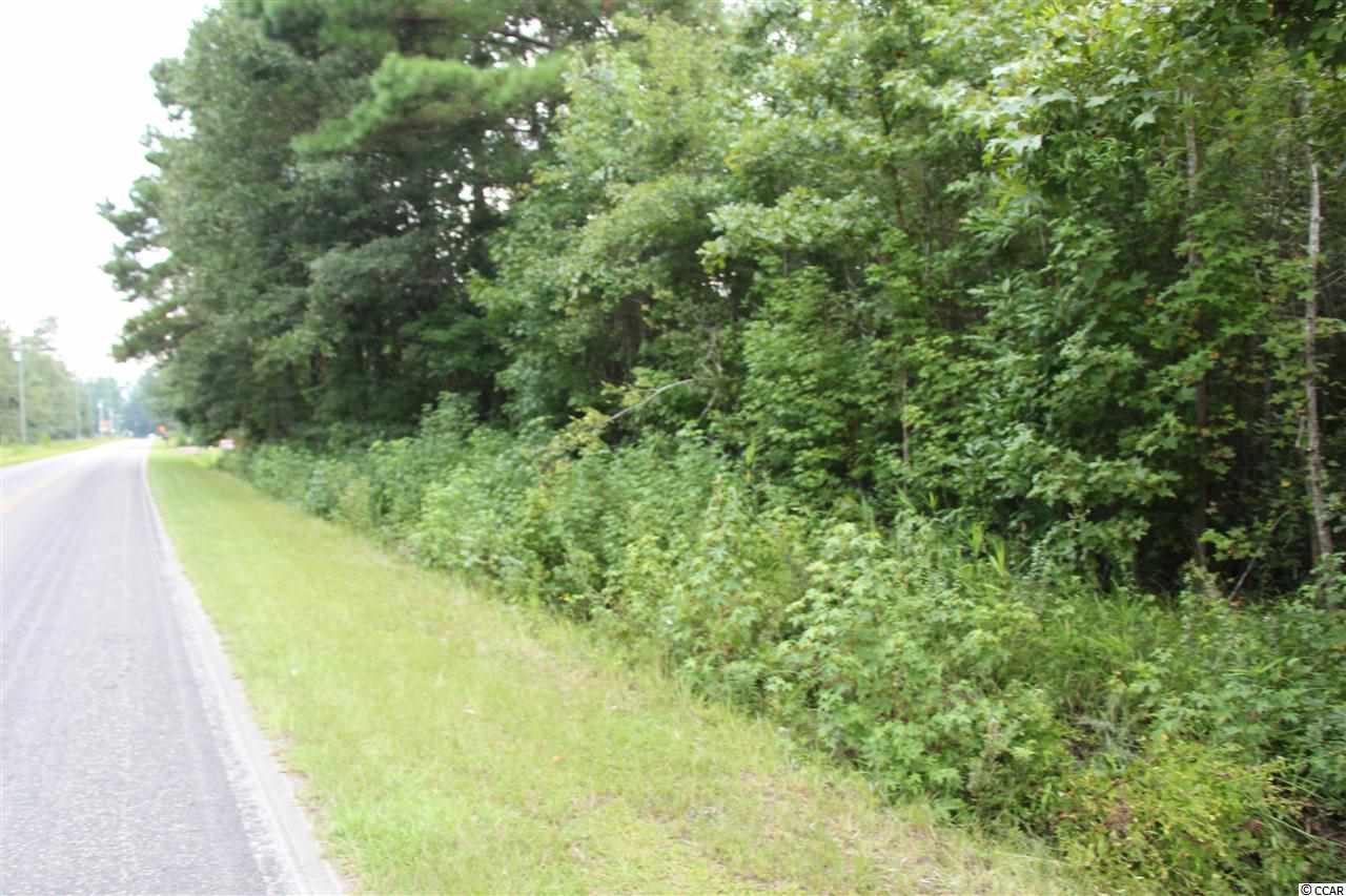 Lot 4 Hulls Island Road Loris, SC 29569 - Photo 3 of 7