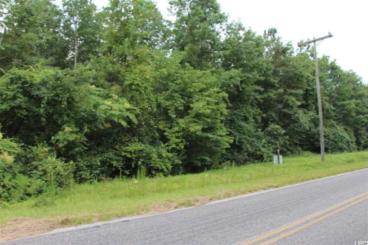 Lot 4 Hulls Island Road Loris, SC 29569 - Photo 4 of 7