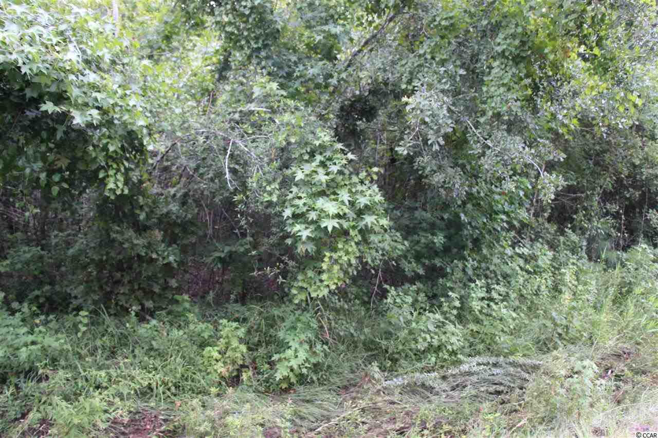 Lot 4 Hulls Island Road Loris, SC 29569 - Photo 6 of 7