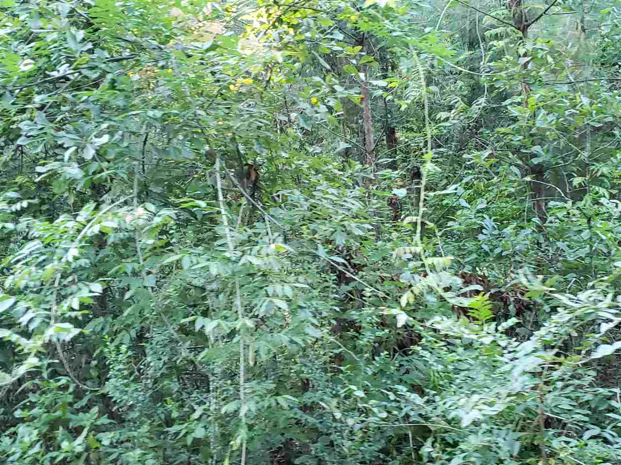14905 North Meridian Road Tallahassee, FL 32312 - Photo 1 of 5 Gallery Image 1