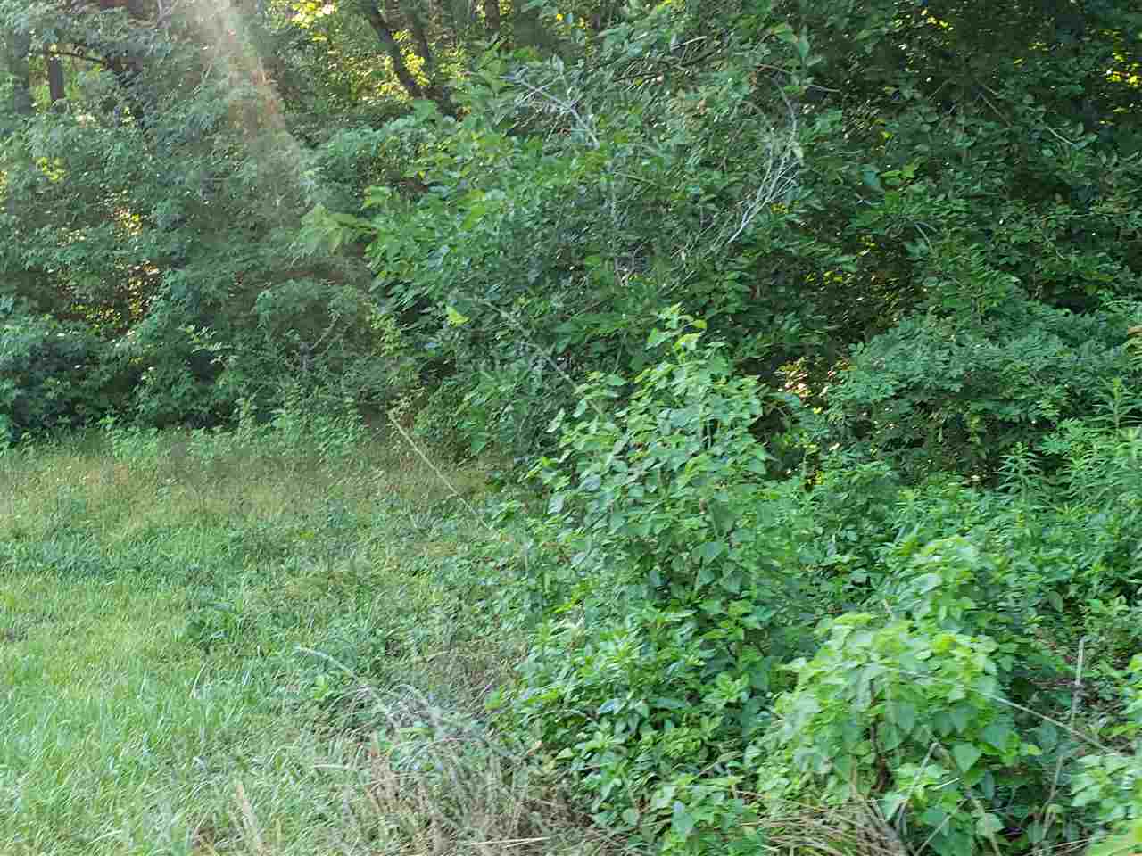 14905 North Meridian Road Tallahassee, FL 32312 - Photo 5 of 5 Gallery Image 5