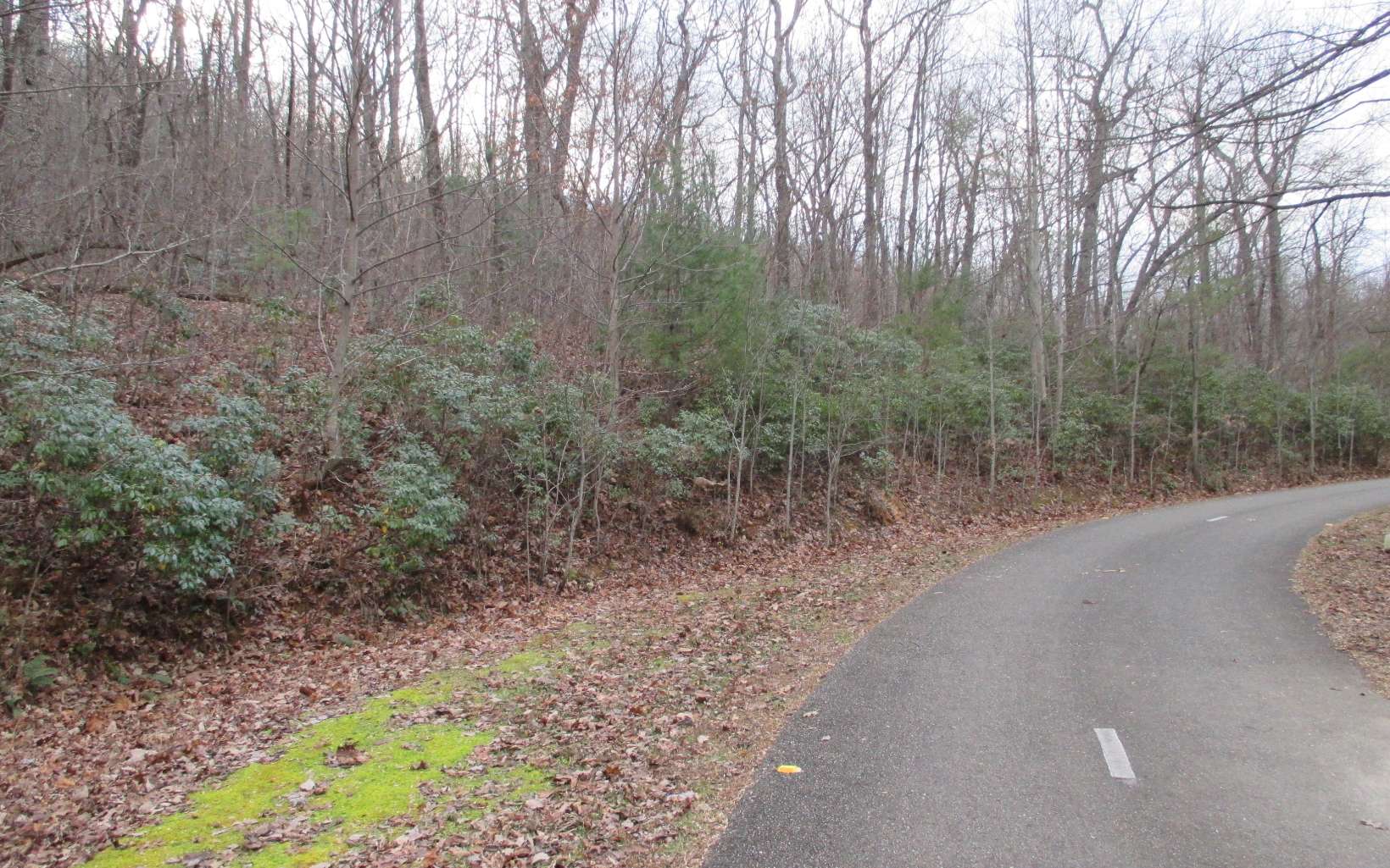 0 Cold Stream Trail Jasper, GA 30143 - Photo 2 of 31 Additional View