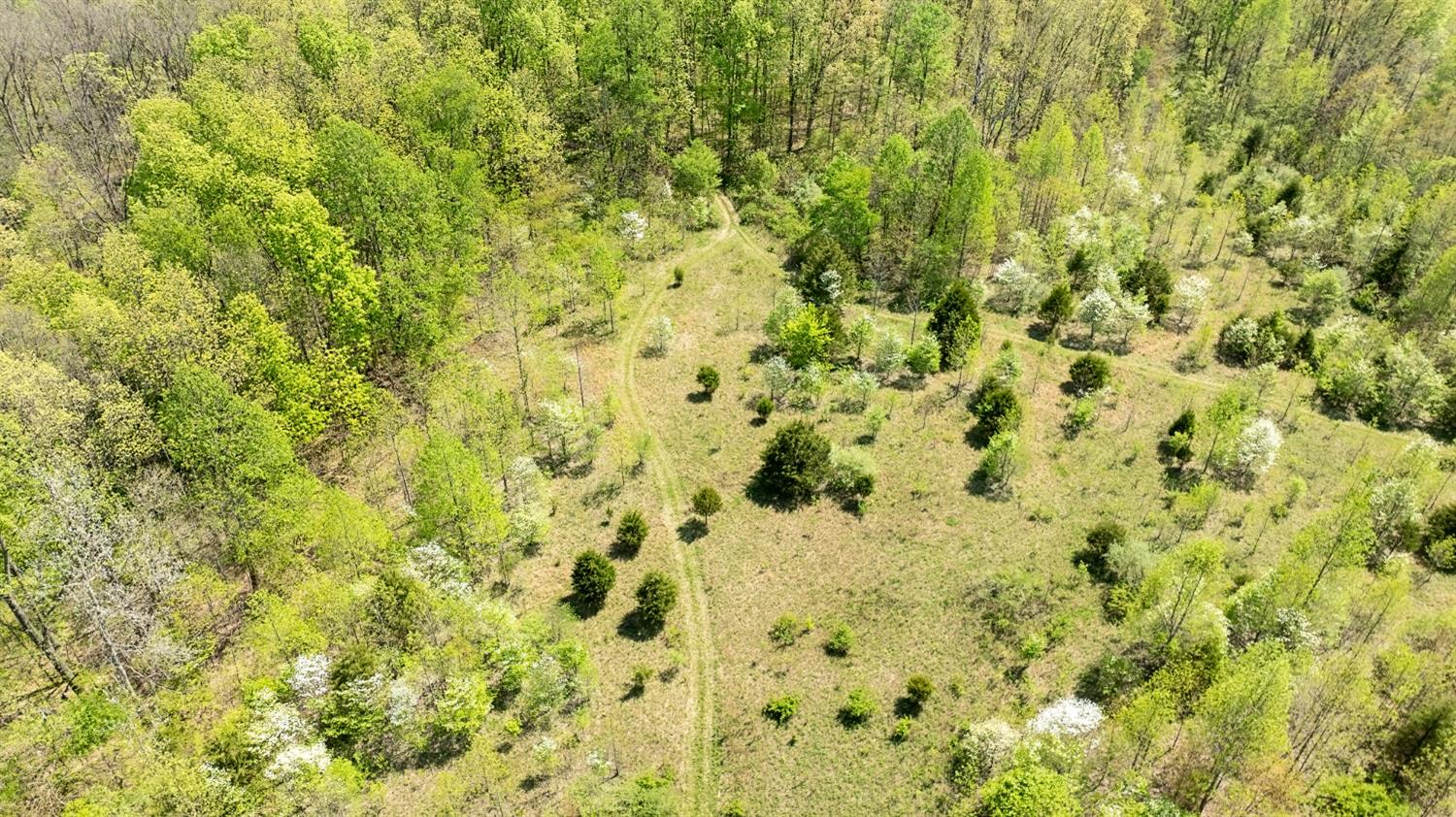 115 Mettle Road Laurel, IN 47024 - Photo 49 of 59