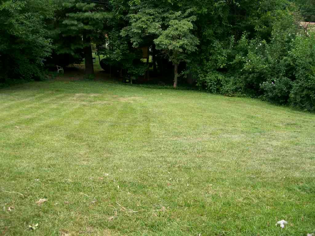2323 York Road Southwest Roanoke, VA 24015 - Photo 3 of 13 Lot