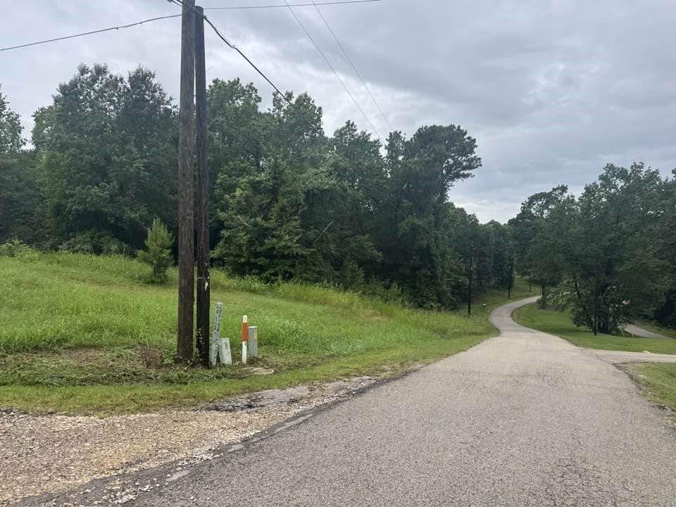 Tbd Holiday Boulevard Coldspring, TX 77331 - Photo 3 of 5