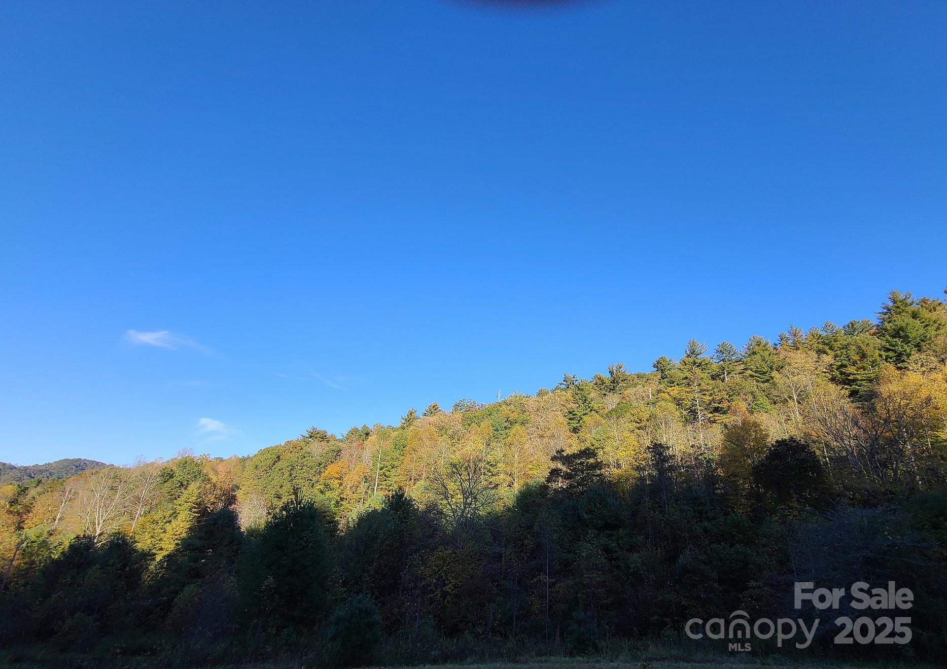 2-a & 2b Rabbit Skin Road Waynesville, NC 28785 - Photo 1 of 18 Gallery Image 1
