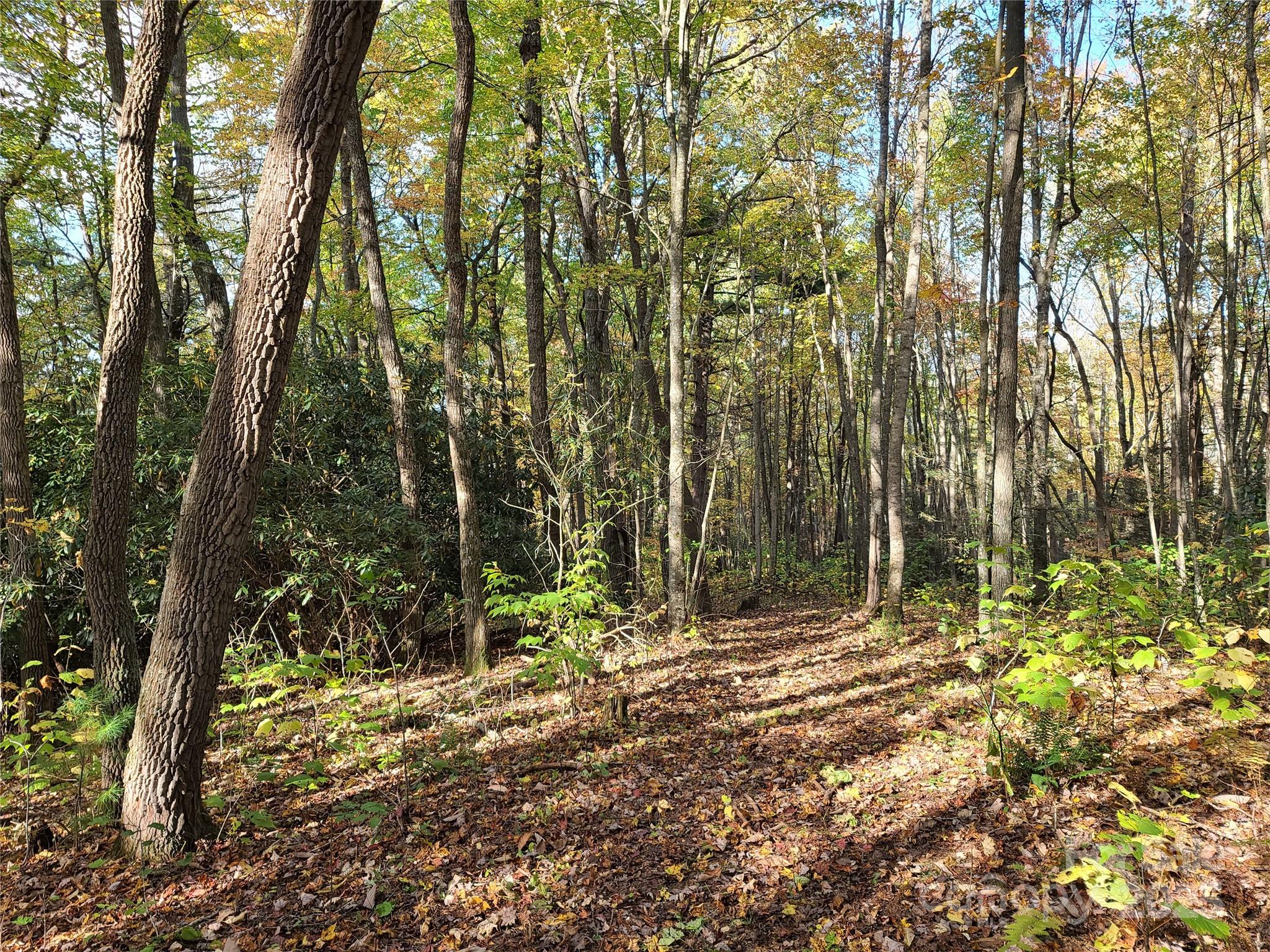 2-a & 2b Rabbit Skin Road Waynesville, NC 28785 - Photo 15 of 18 Gallery Image 15
