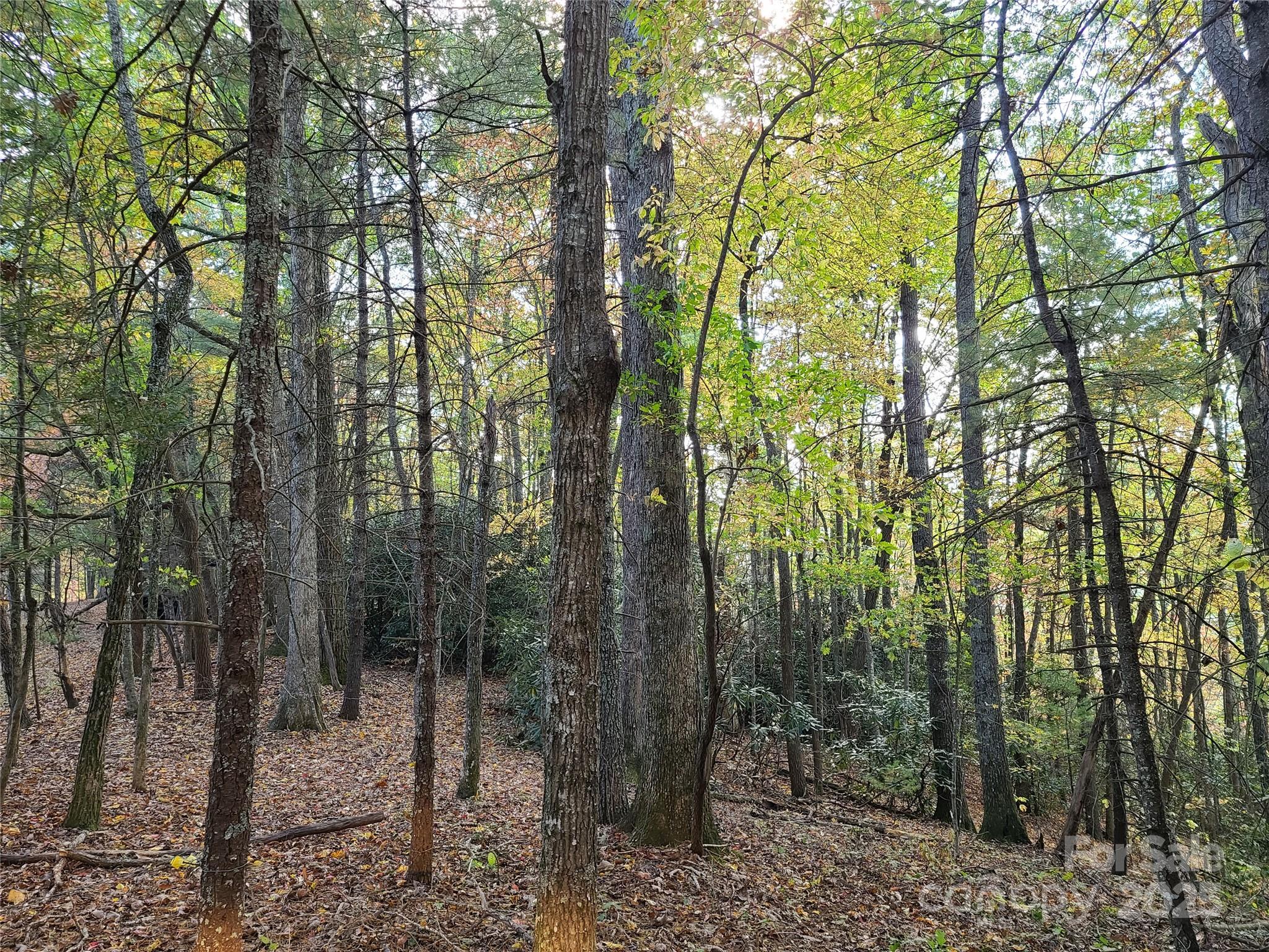 2-a & 2b Rabbit Skin Road Waynesville, NC 28785 - Photo 18 of 18 Gallery Image 18