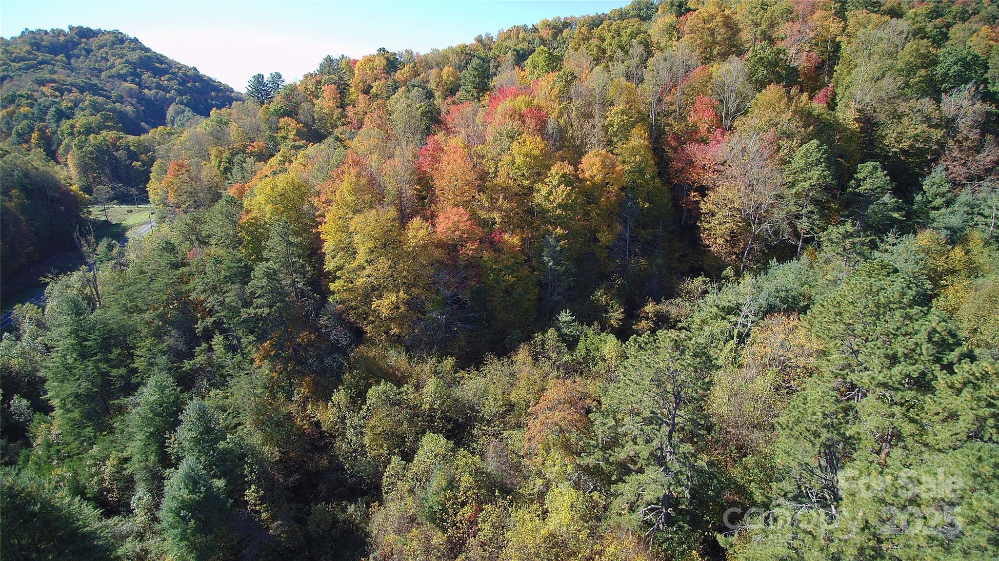 2-a & 2b Rabbit Skin Road Waynesville, NC 28785 - Photo 2 of 18 Gallery Image 2