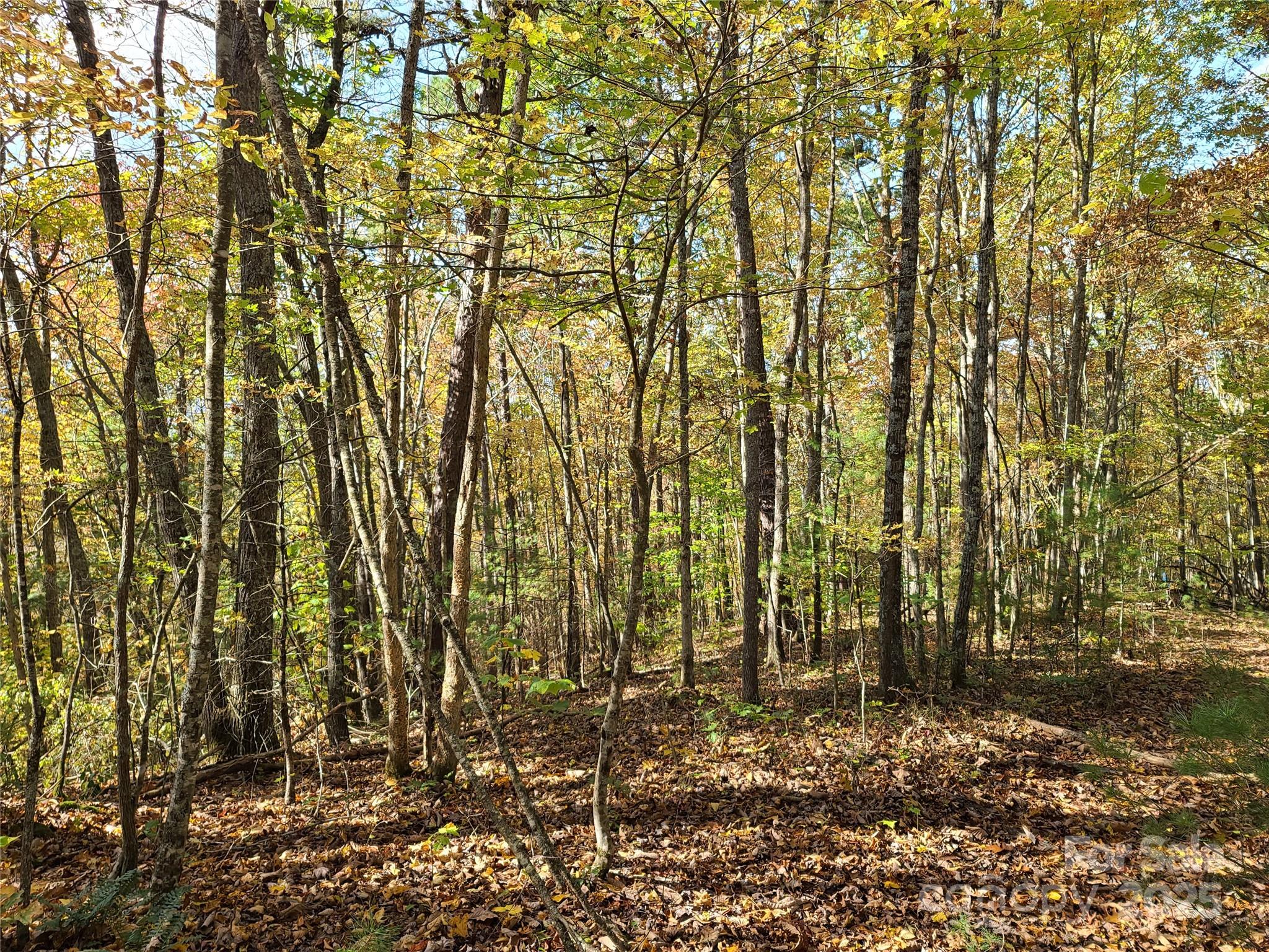 2-a & 2b Rabbit Skin Road Waynesville, NC 28785 - Photo 5 of 18 Gallery Image 5