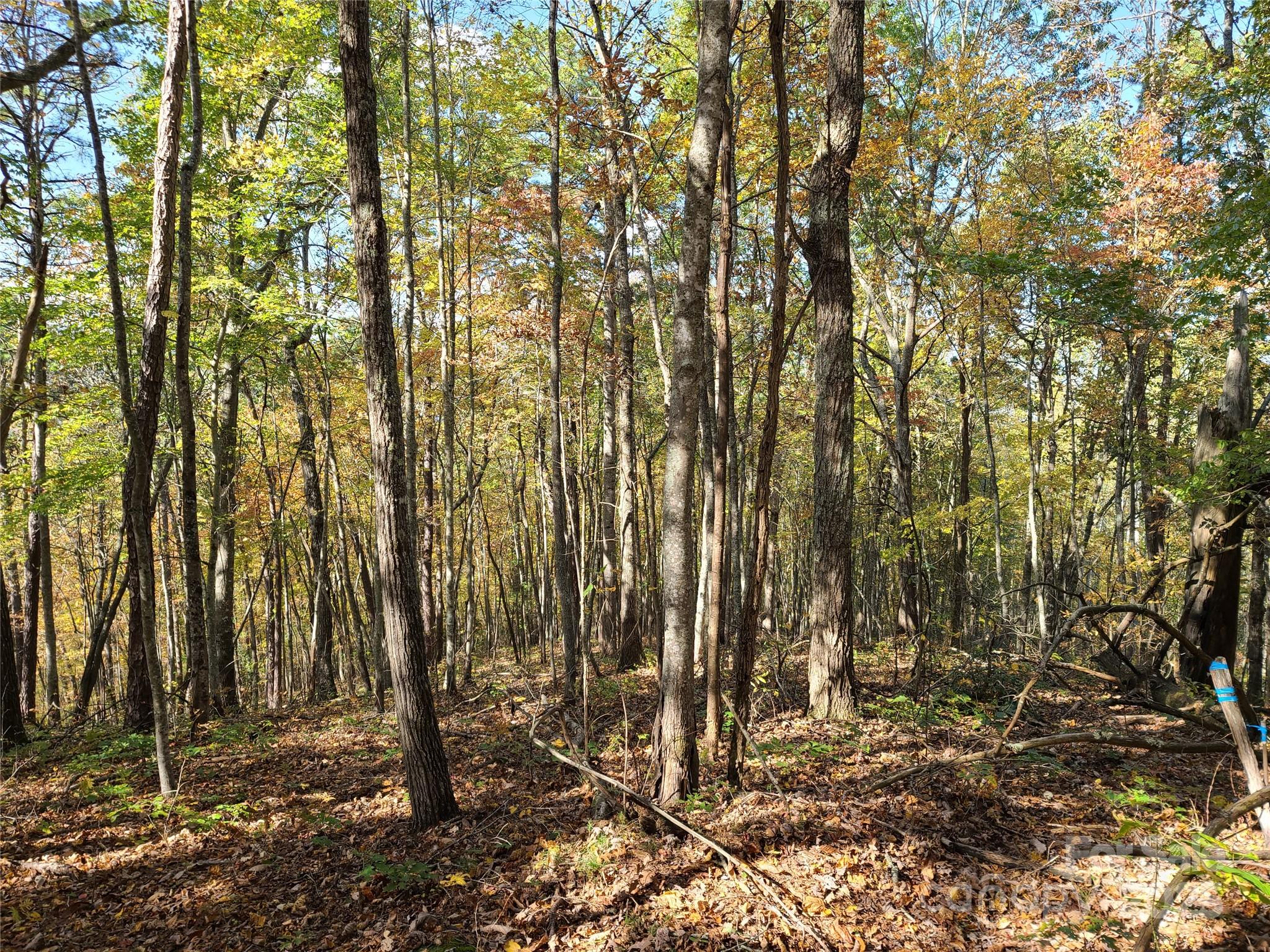 2-a & 2b Rabbit Skin Road Waynesville, NC 28785 - Photo 6 of 18 Gallery Image 6