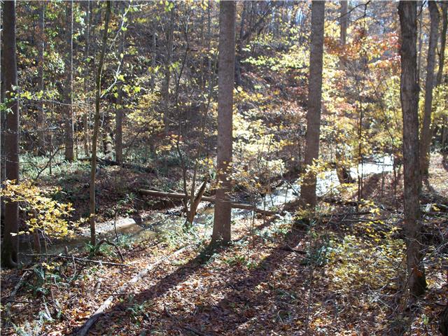 0 Wileys Bend Road White Bluff, TN 37187 - Photo 2 of 4 Gallery Image 2