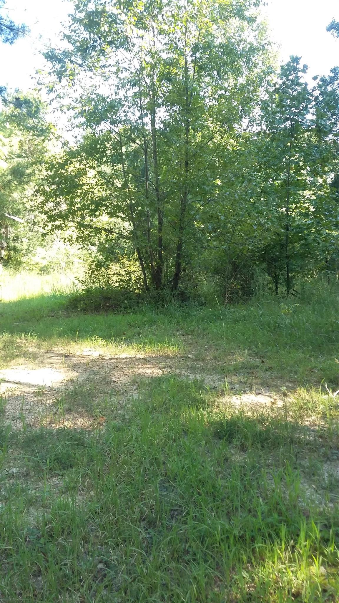 0 Wileys Bend Road White Bluff, TN 37187 - Photo 4 of 4 Gallery Image 4
