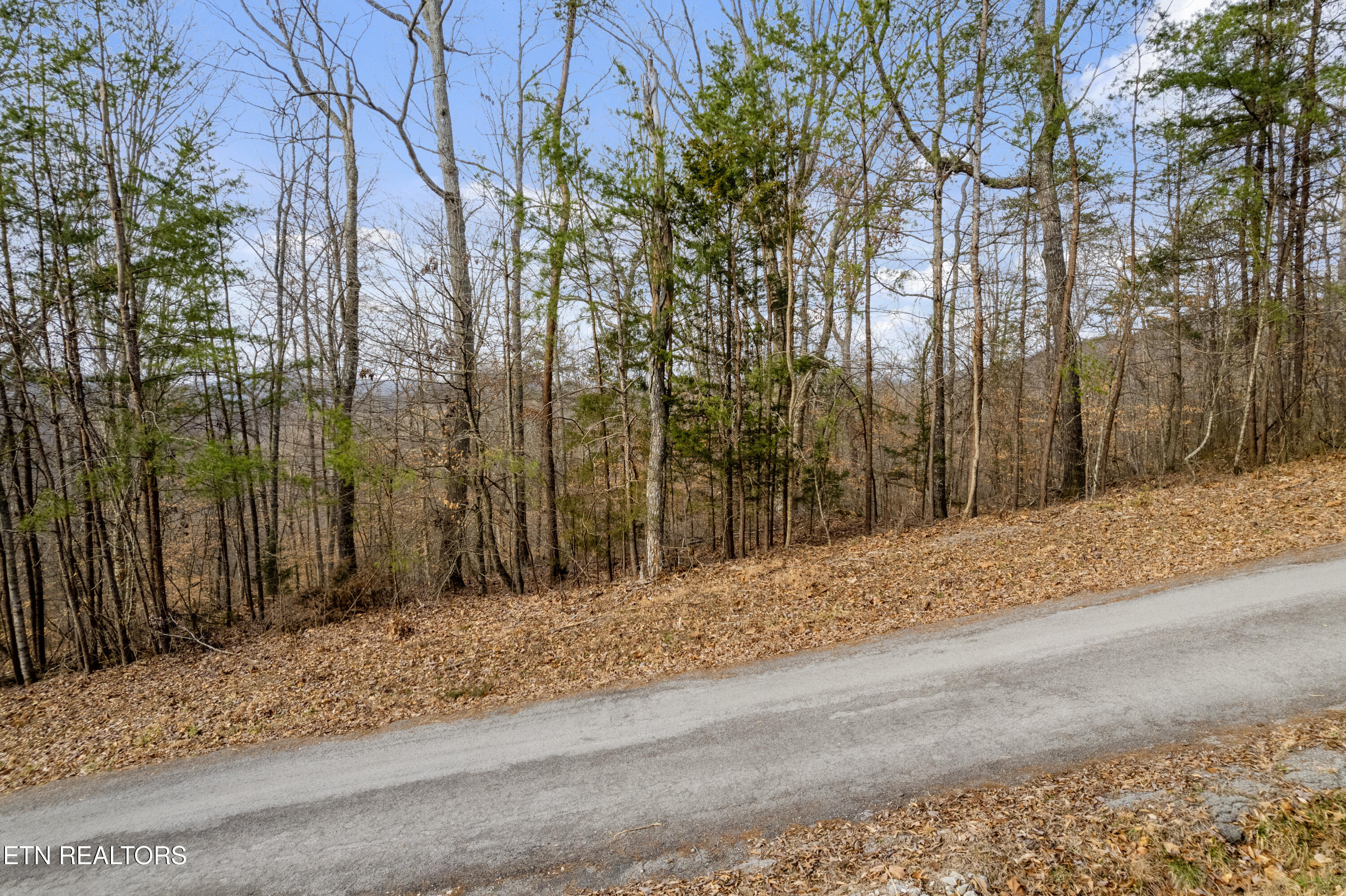 Lot 45 Walleye Point Sharps Chapel, TN 37866 - Photo 11 of 29 Walleye 03