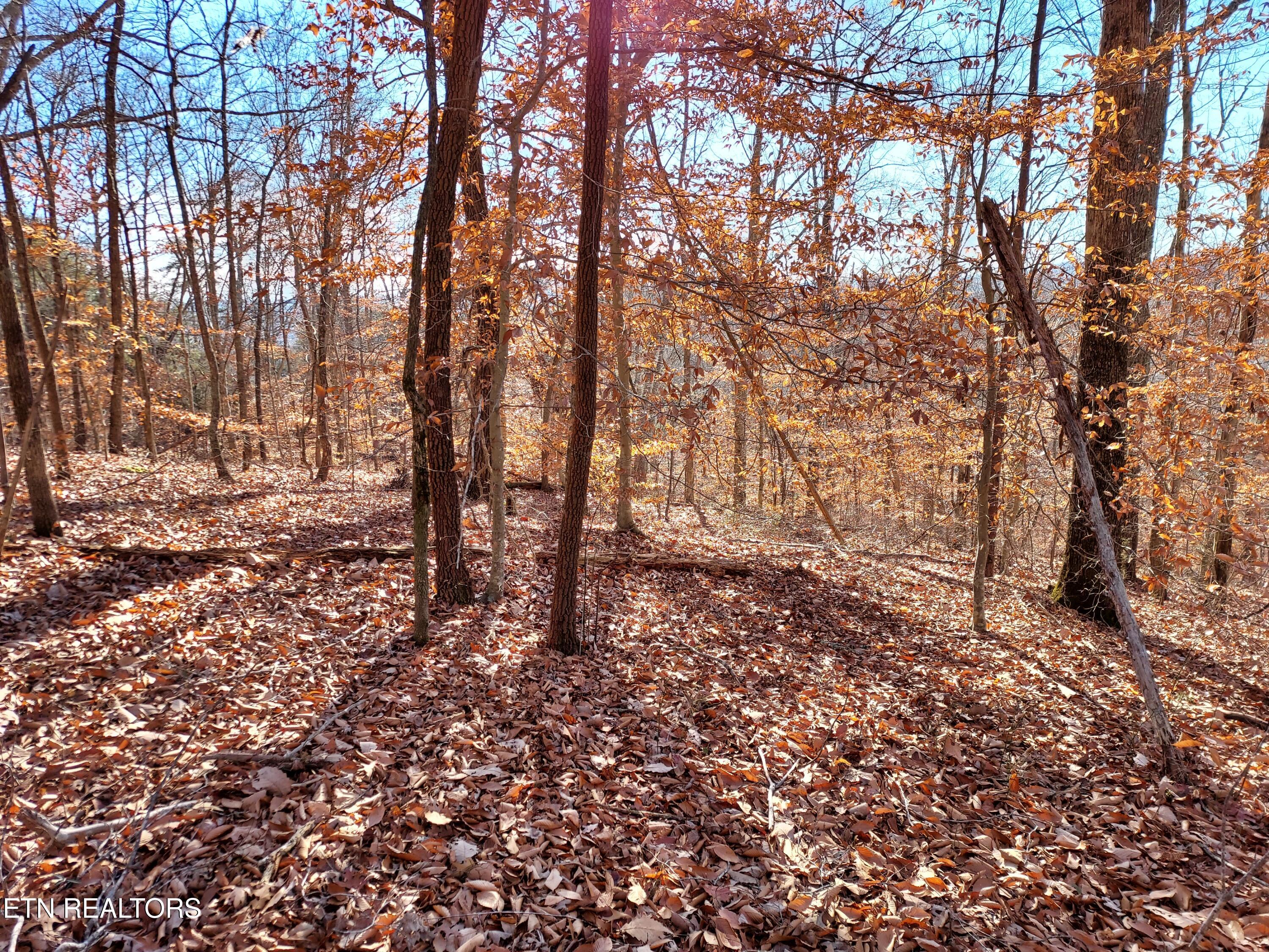 Lot 45 Walleye Point Sharps Chapel, TN 37866 - Photo 23 of 29 20211215_104159