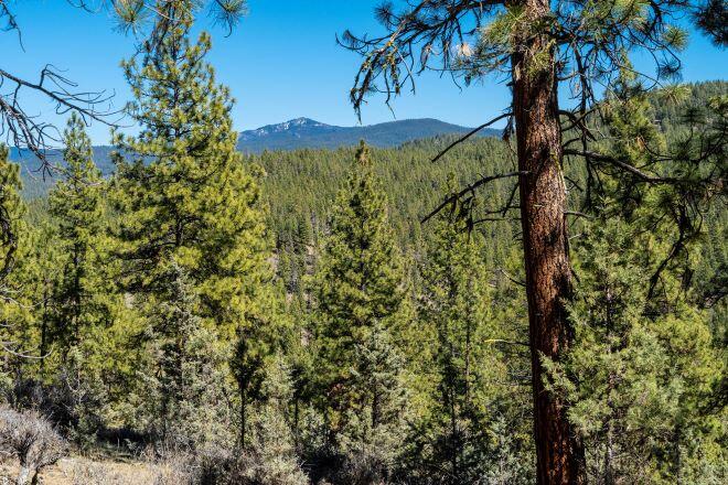 24302 Ochoco Ranger Road Prineville, OR 97754 - Photo 2 of 9 big game hunting ranch oregon ochoco cre