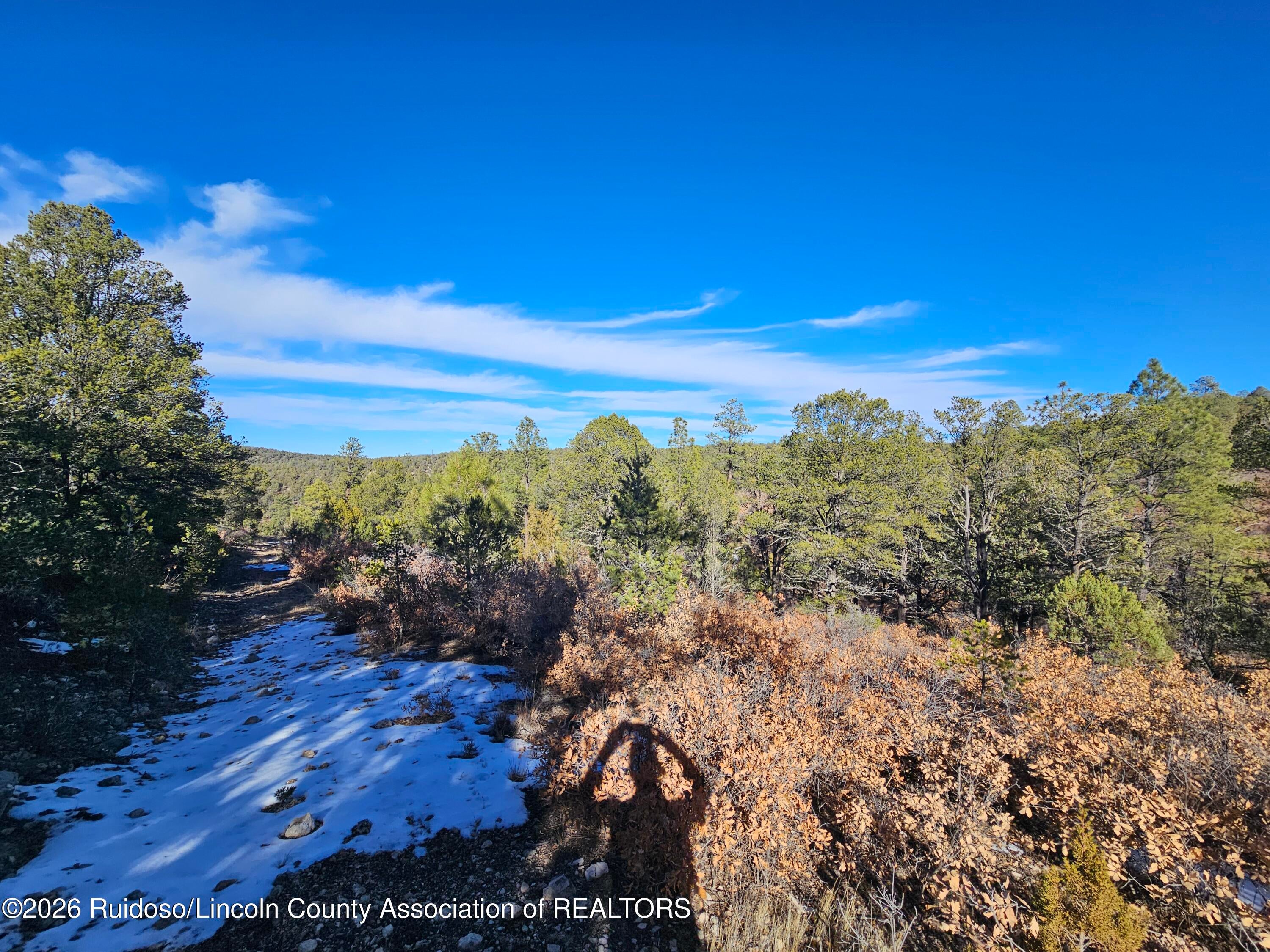10s Range 14e Sec 33 Ruidoso, NM 88345 - Photo 5 of 10 Gallery Image 5