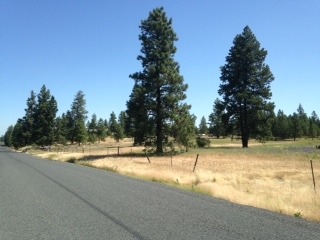 35823 South Rock Lake Road Cheney, WA 99004 - Photo 16 of 16
