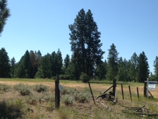 35823 South Rock Lake Road Cheney, WA 99004 - Photo 5 of 16