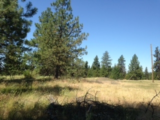 35823 South Rock Lake Road Cheney, WA 99004 - Photo 9 of 16