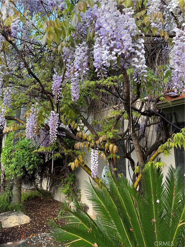 40820 Oak Ridge Drive Three Rivers, CA 93271 - Photo 41 of 65 a backyard of a house