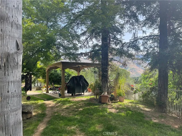 a view of a park with large trees