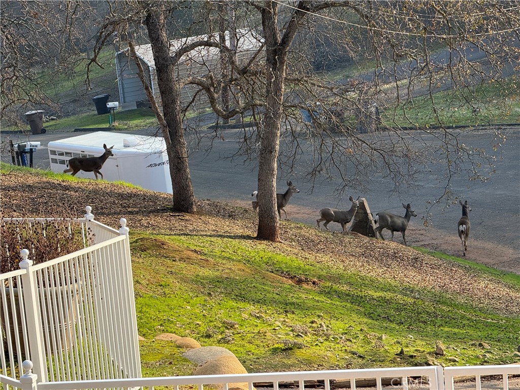 40820 Oak Ridge Drive Three Rivers, CA 93271 - Photo 54 of 65