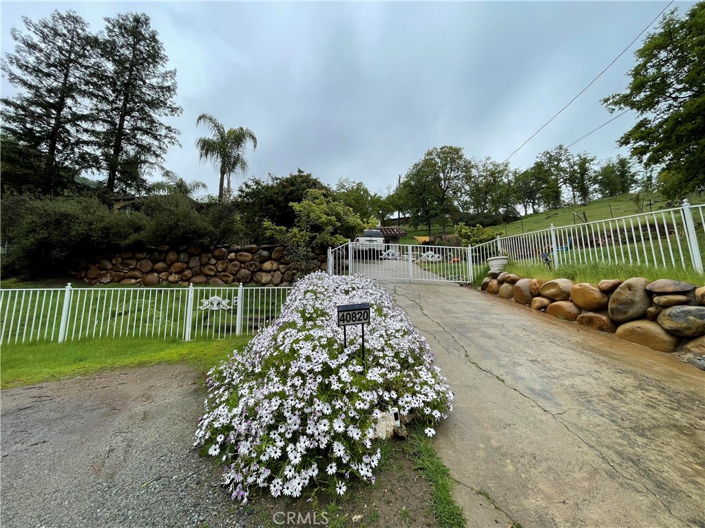 40820 Oak Ridge Drive Three Rivers, CA 93271 - Photo 58 of 65 a garden with trees in the background