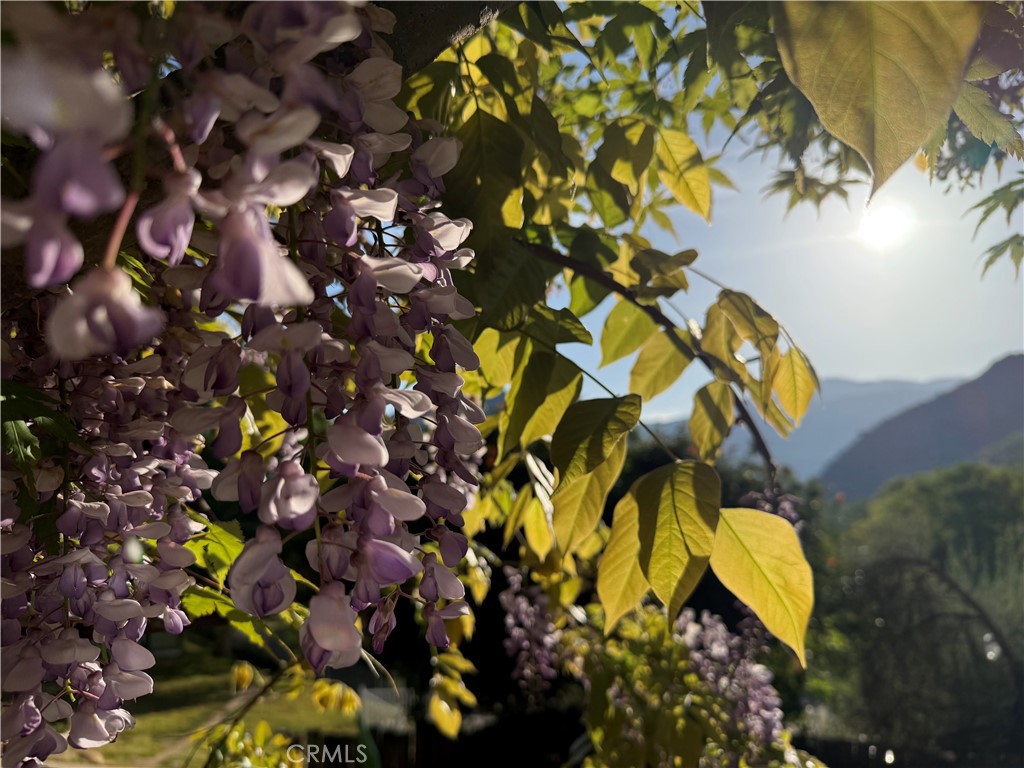 40820 Oak Ridge Drive Three Rivers, CA 93271 - Photo 65 of 65