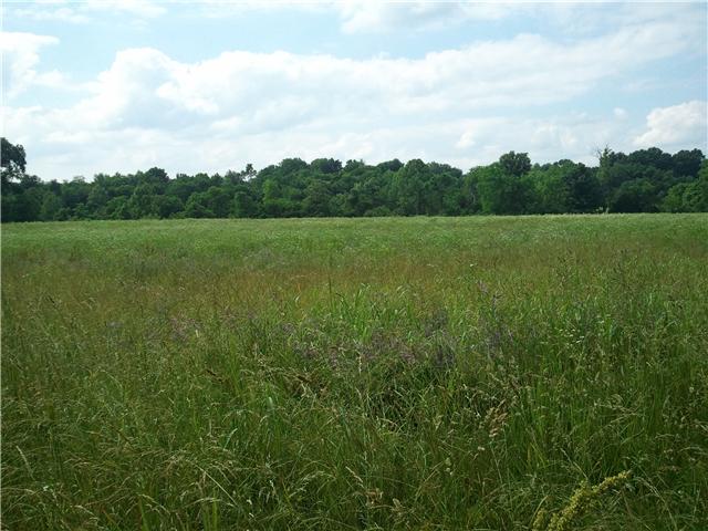 0 Rock Springs Road Bethpage, TN 37022 - Photo 3 of 7