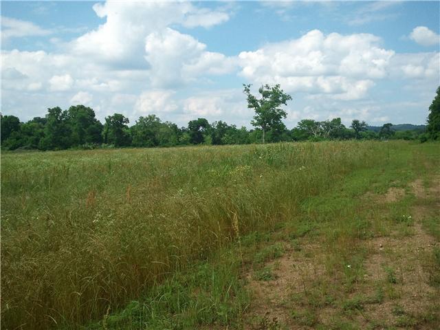 0 Rock Springs Road Bethpage, TN 37022 - Photo 5 of 7