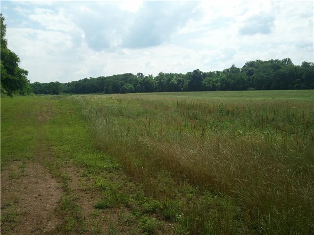 0 Rock Springs Road Bethpage, TN 37022 - Photo 6 of 7